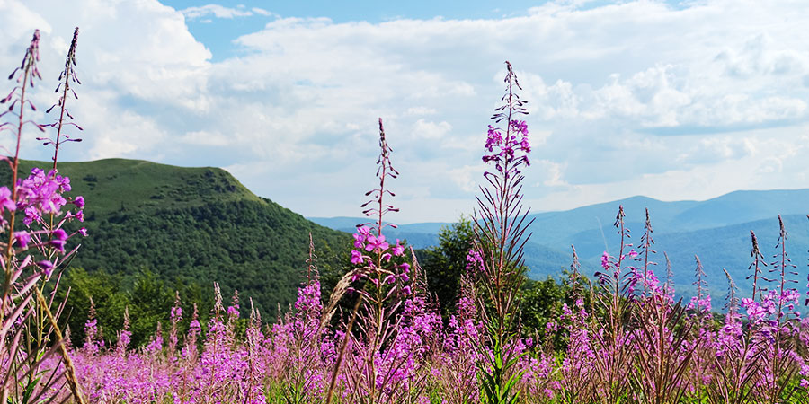 pielgrzymki w bieszczady