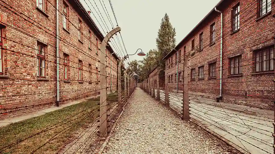auschwitz wynajem autokaru