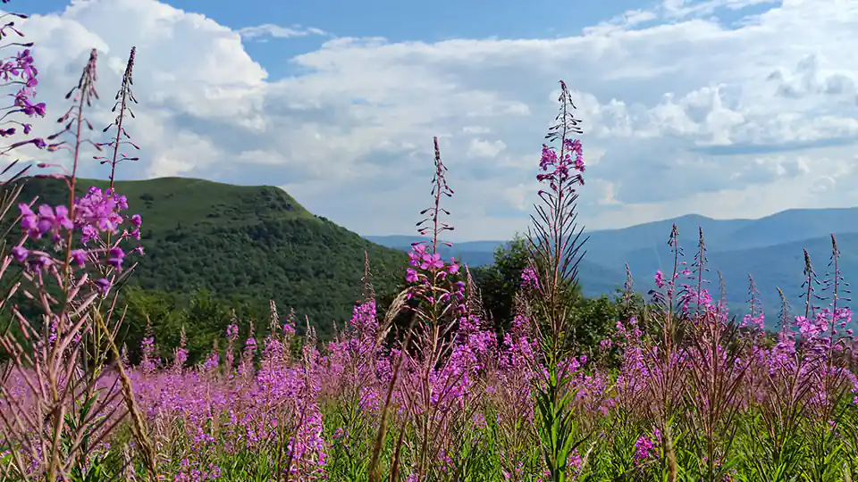 Pielgrzymki w Bieszczady