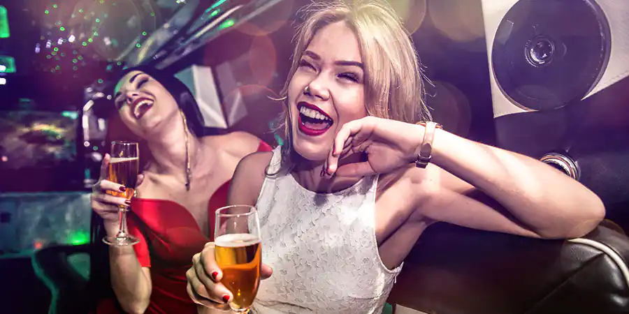 wynajem partybusa biznesplan