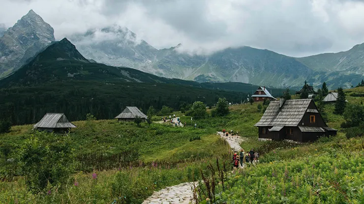 Transport na stoki narciarskie Zakopane